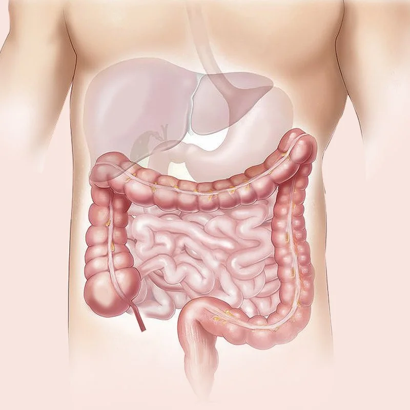 Basti