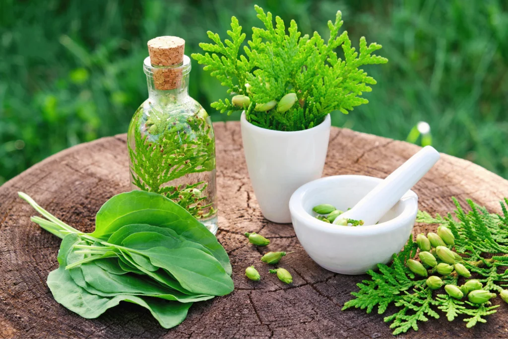 Naturopathy-1(1)