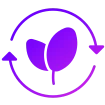 leaf purple